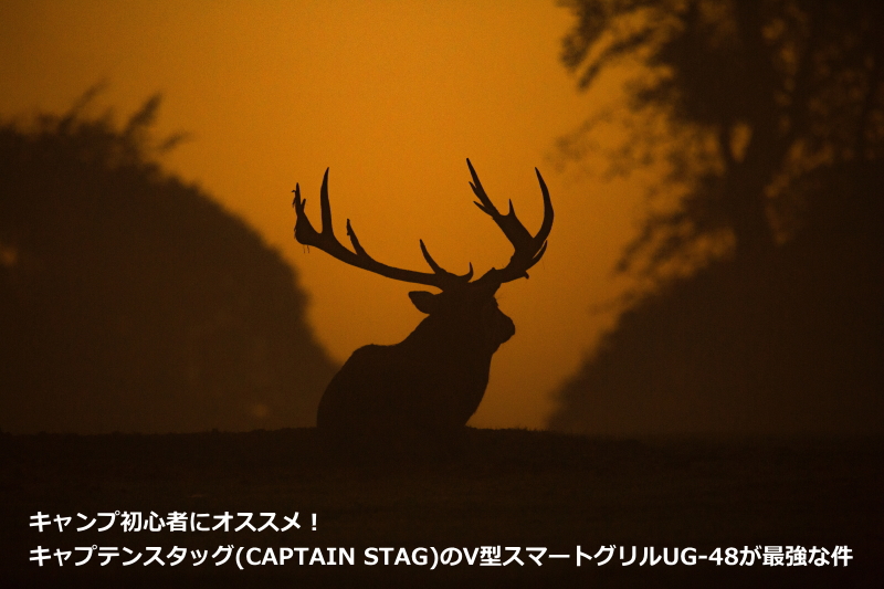 キャンプ初心者にオススメ！キャプテンスタッグ(CAPTAIN STAG)のV型スマートグリルUG-48が最強な件